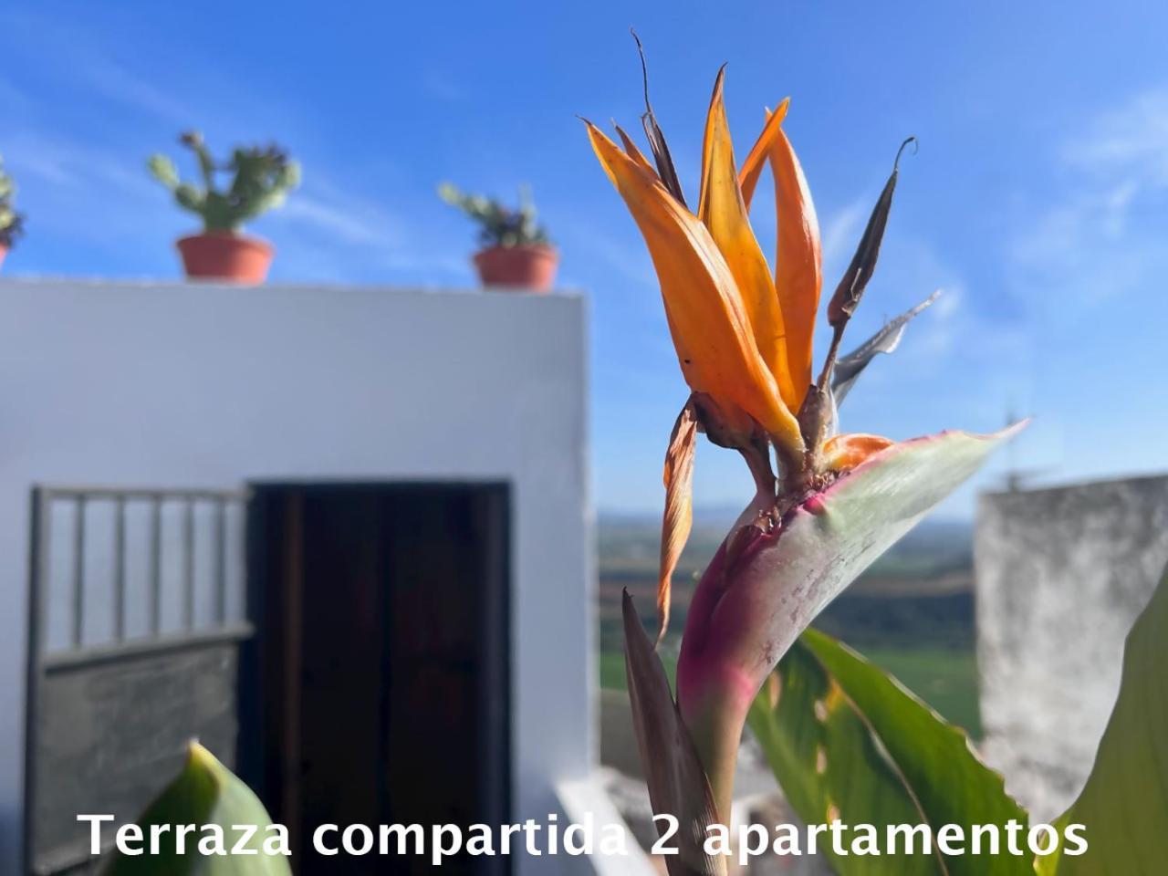 Casa Abades Arcos De La Frontera Apartment Exterior photo